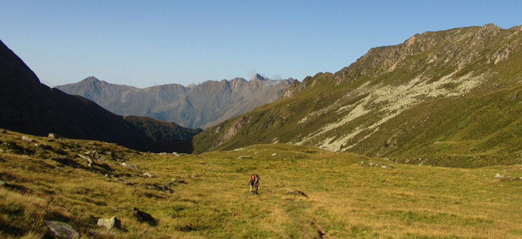 Pfunderer Berge