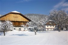 Untermoarhof im Winter